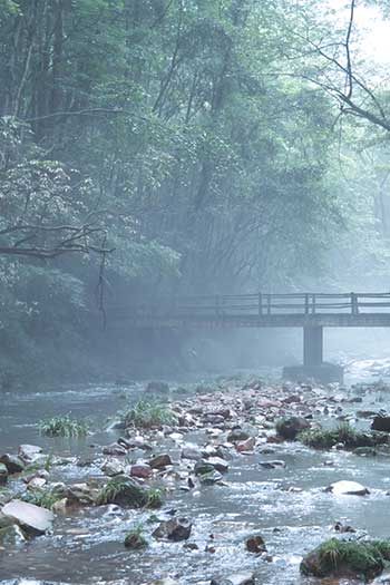 景區(qū)生態(tài)環(huán)境監(jiān)測站解決方案