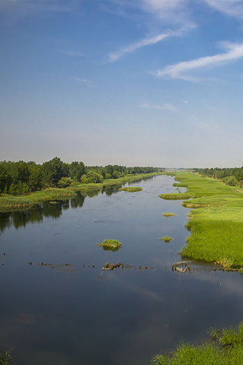 濕地生態(tài)環(huán)境監(jiān)測系統(tǒng)方案